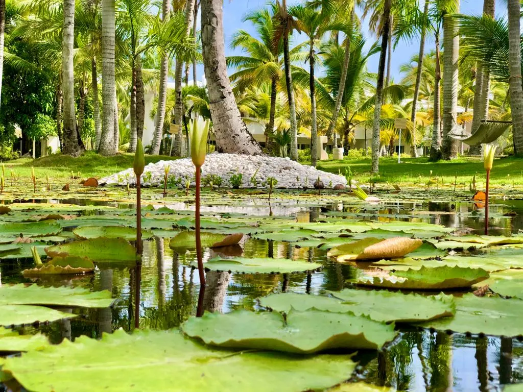 Meliá Punta Cana Beach Resort dominican republic